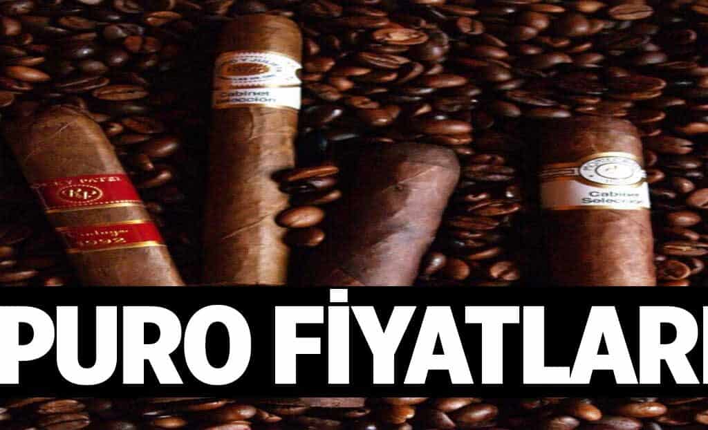 Puro Fiyatlari 1024x622WFs.jpg